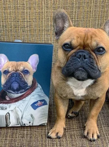 Портрет питомца по фотографии на холсте, квадратный формат — работа №5
